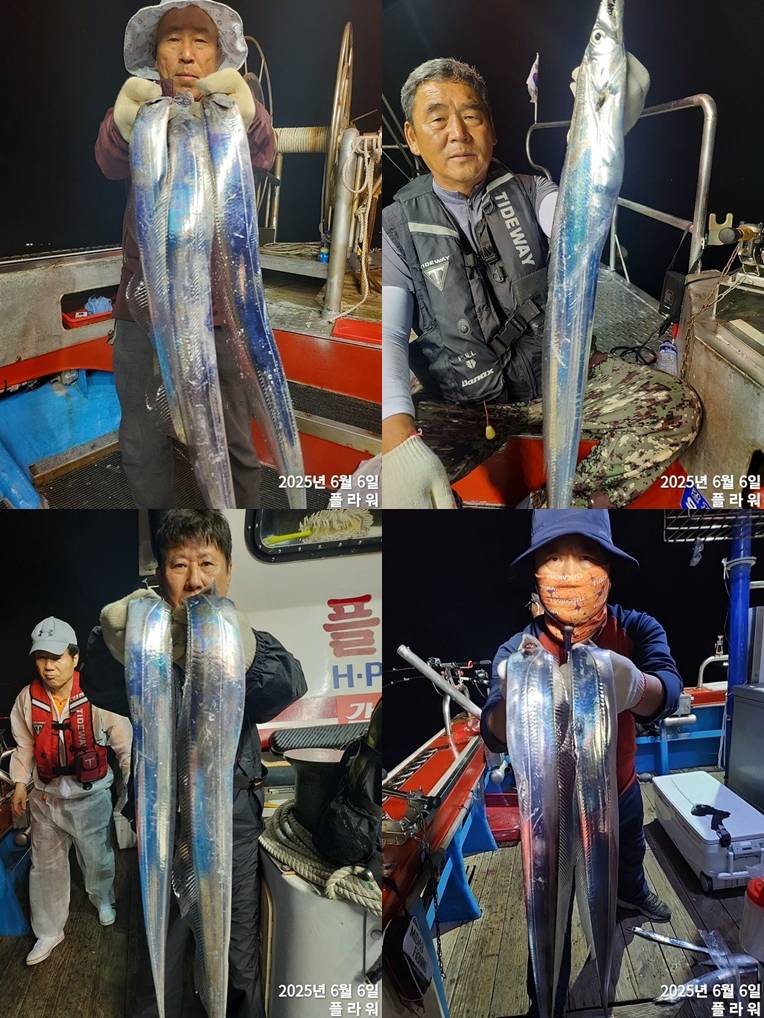 [여수플라워호] 7일 갈치 조황! 오늘 펑크로  1자리 여유있습니다.  010-2004-5524