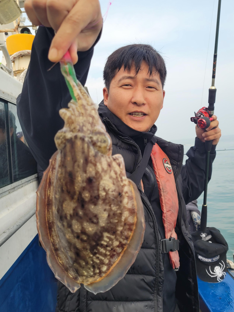 10/17 왕쭈꾸미/대포알갑오징어 조황