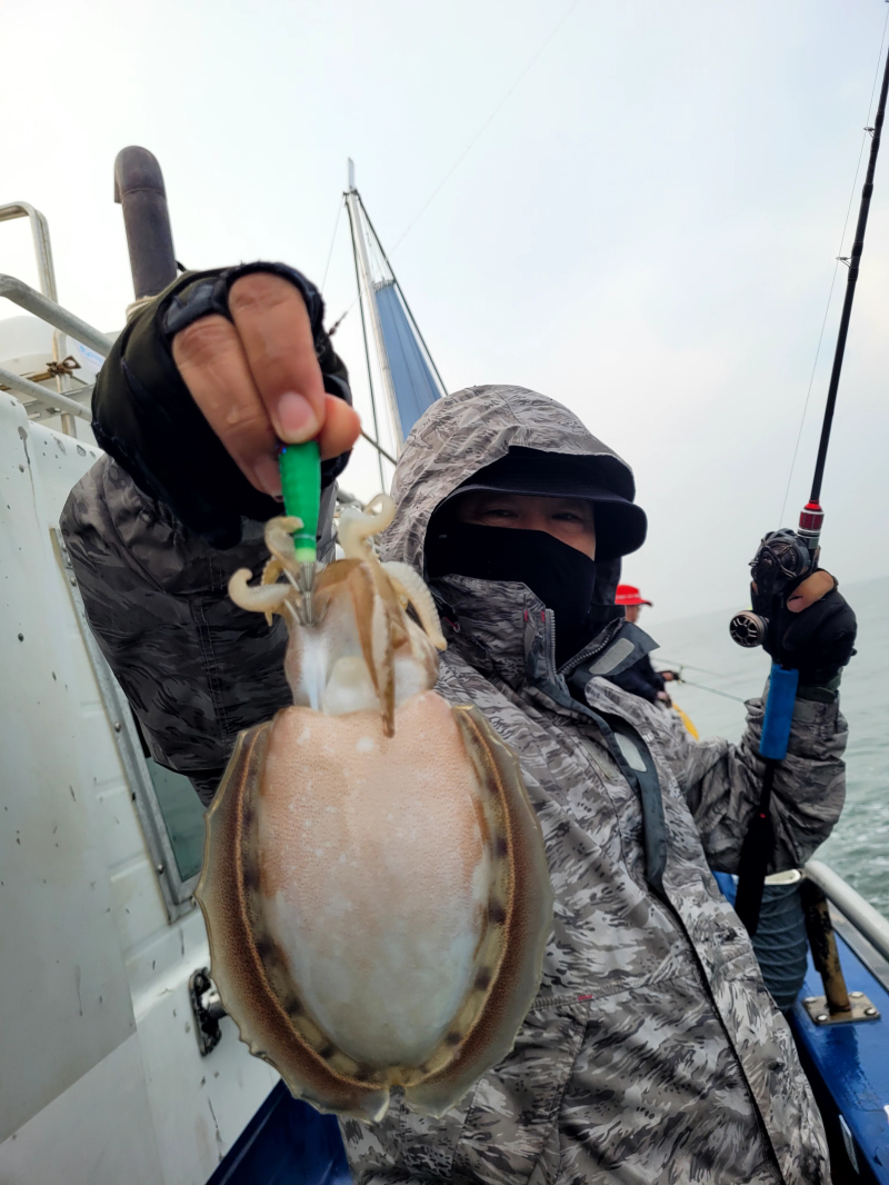 10/17 왕쭈꾸미/대포알갑오징어 조황