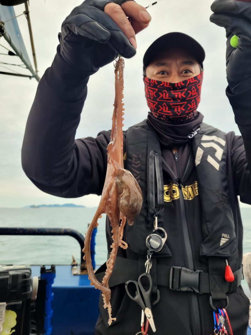 11월10일 오천항왕쭈꾸미/대포알 갑오징어 굿굿~~조황