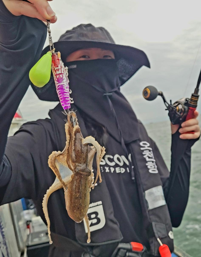 9/7 오천항쭈/갑  사리물때 조황소식