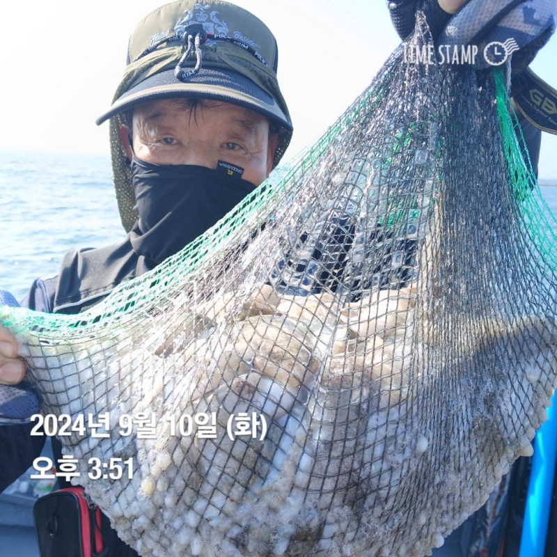 [군산 블랙펄 쭈꾸미] 10일조황