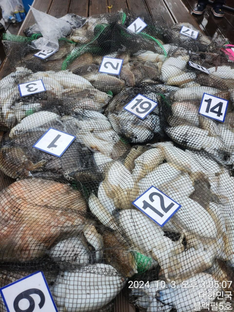 [군산 블랙펄호] 3일 신발짝 갑이 늦은조황