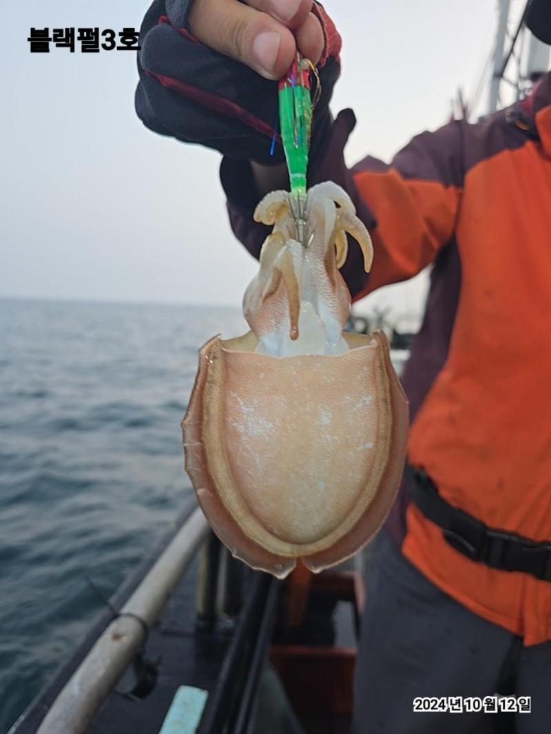 [군산 블랙펄호] 12일 신발짝 갑이 좋습니다