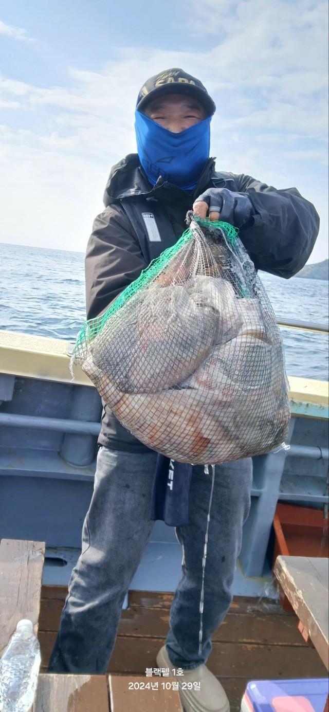 군산 블랙펄호 29일 문어 철수조황