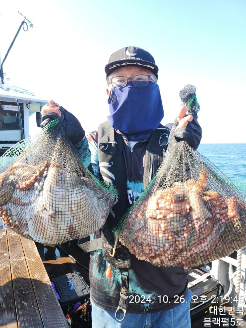 (군산 블랙펄호)26일 문어.철수조황