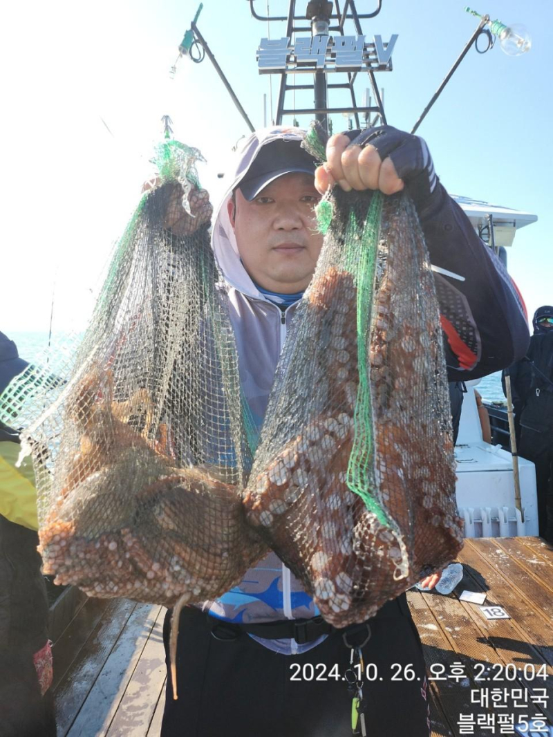 (군산 블랙펄호)26일 문어.철수조황