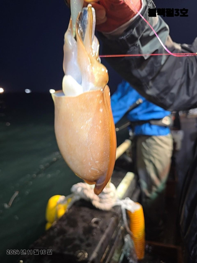 {군산 블랙펄호} 16일 철수 신발짝 갑이조황