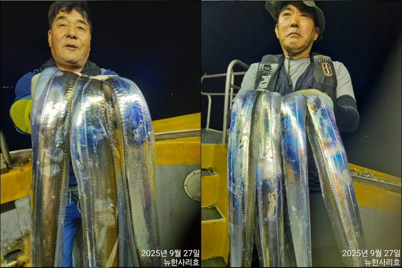 [뉴~한사리호] 28일철수 3~ 4지 위주로 나왔습니다