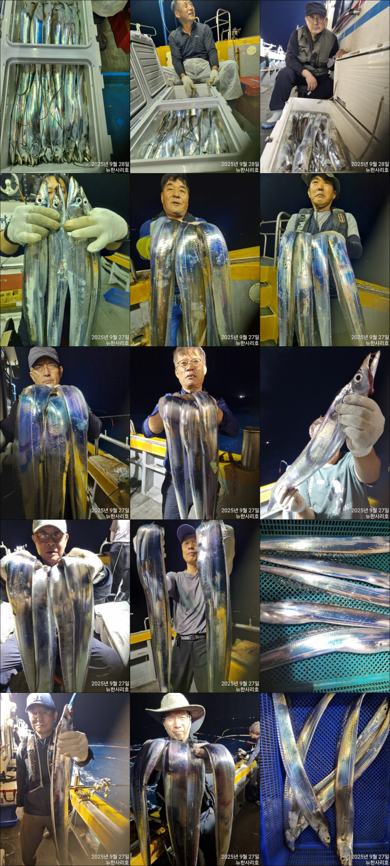 [뉴~한사리호] 28일철수 3~ 4지 위주로 나왔습니다