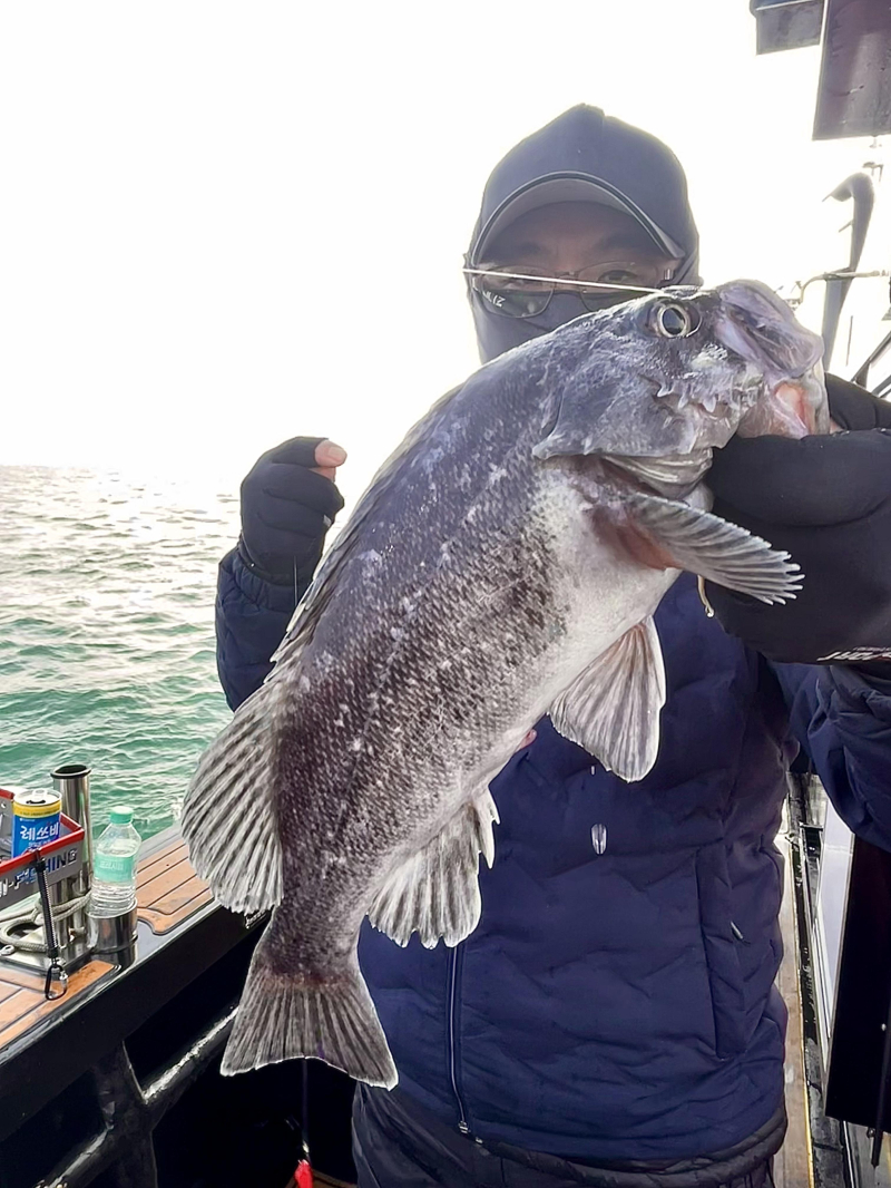 25년 11월30일 대천항 하이피싱호 