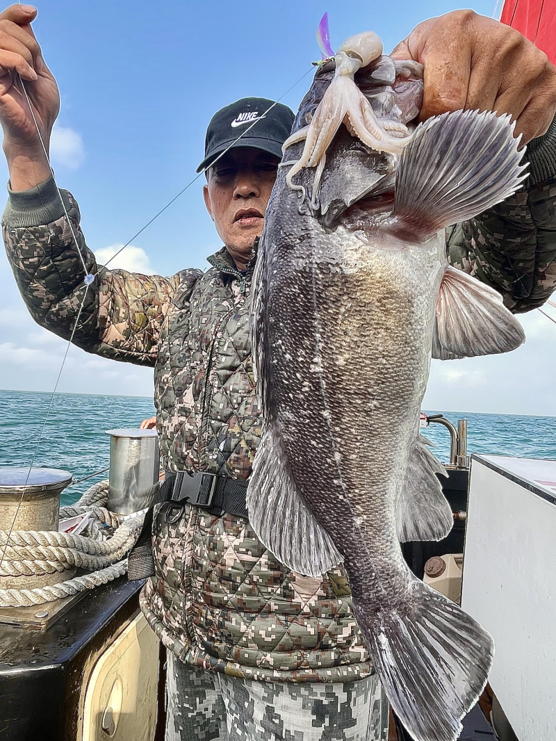 25년 11월30일 대천항 하이피싱호 