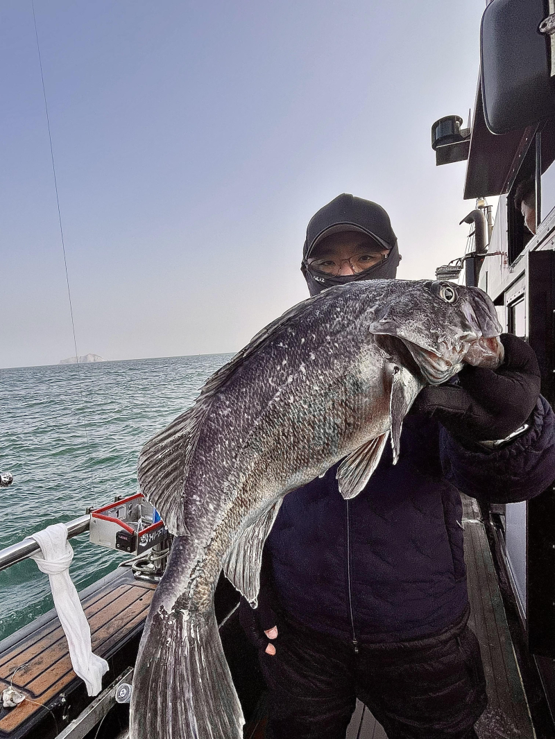 25년 11월30일 대천항 하이피싱호 