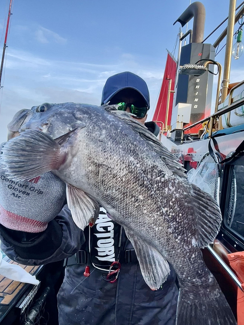 25년 12월10일 대천항 하이피싱호