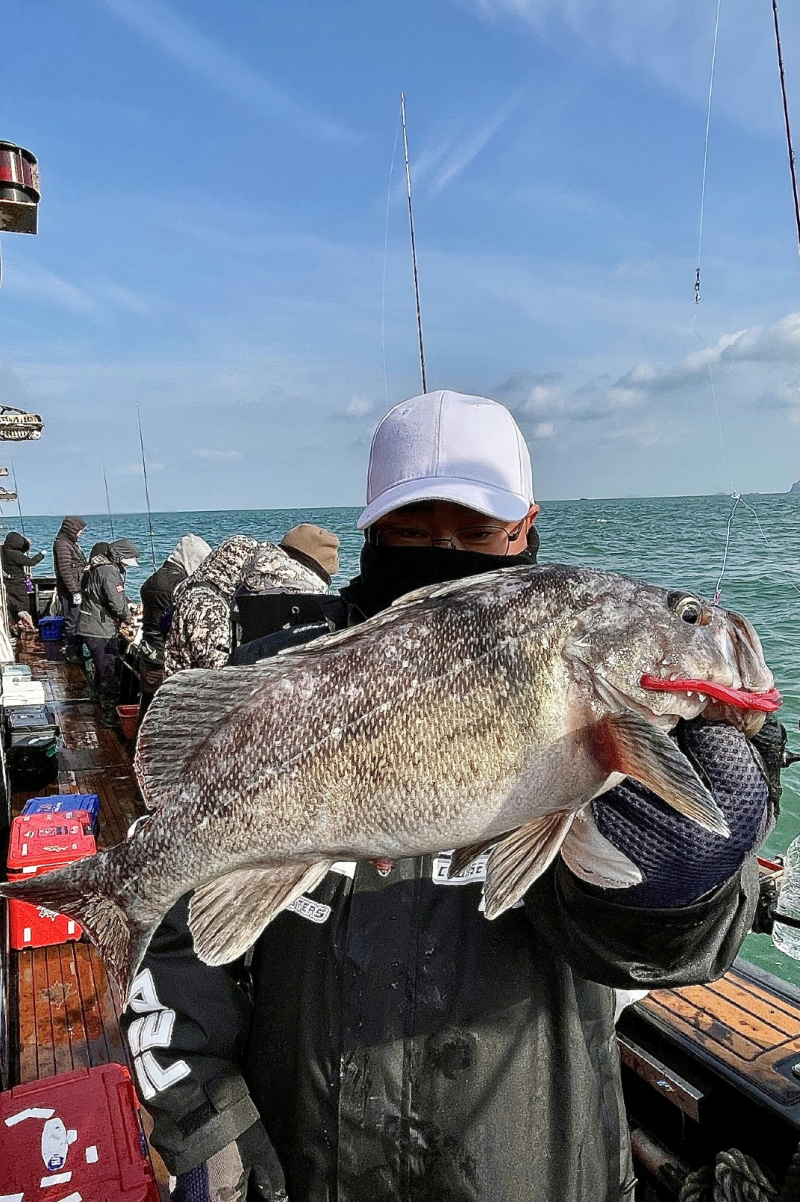 25년 12월10일 대천항 하이피싱호