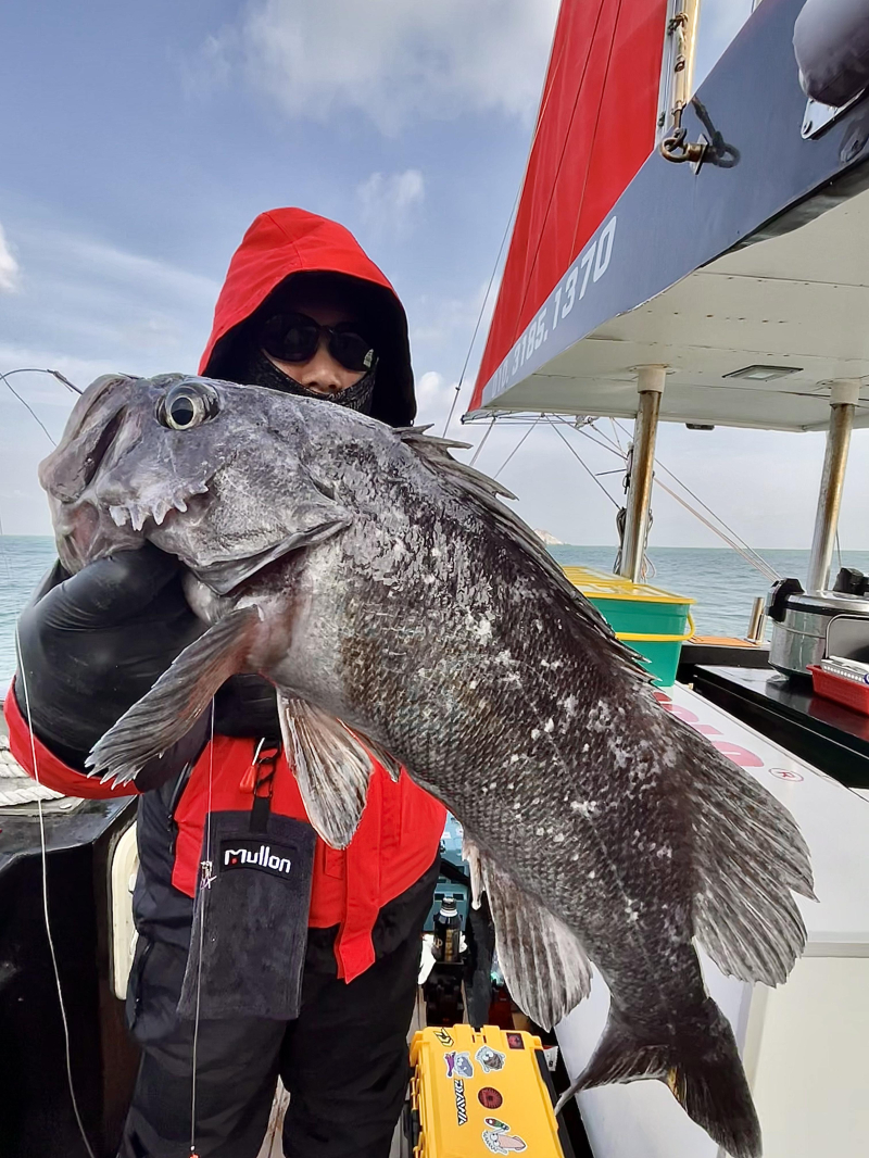 25년 12월10일 대천항 하이피싱호