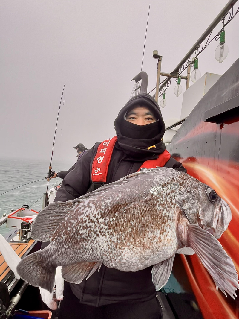 26년 1월16일 대천항 하이피싱호 