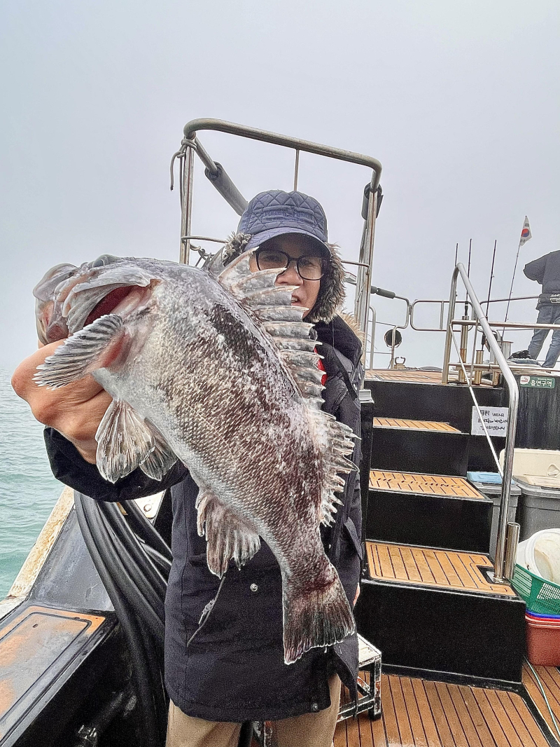26년 1월16일 대천항 하이피싱호 