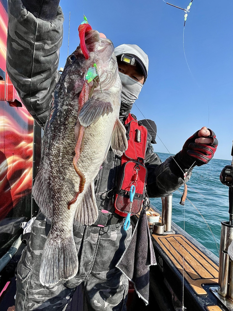 26년 1월31일 대천항 하이피싱호