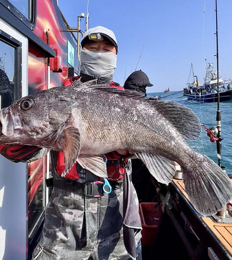 26년 1월31일 대천항 하이피싱호