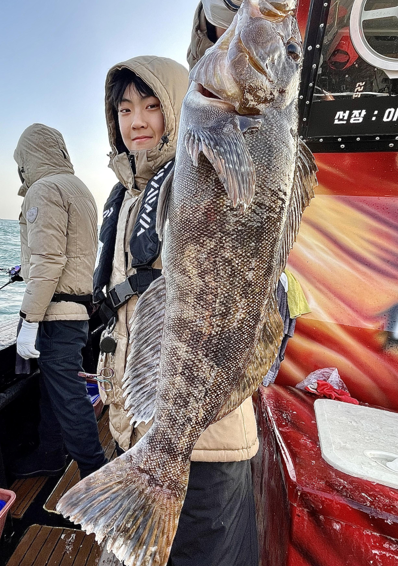 26년 1월31일 대천항 하이피싱호
