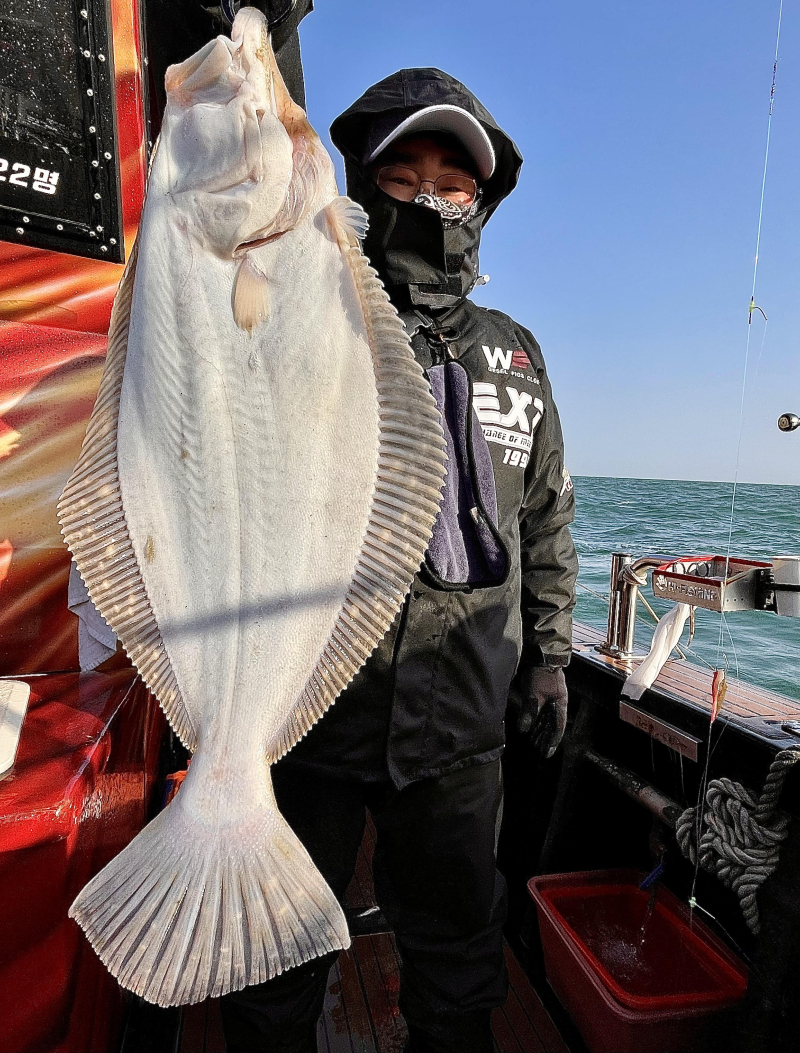 26년 1월31일 대천항 하이피싱호