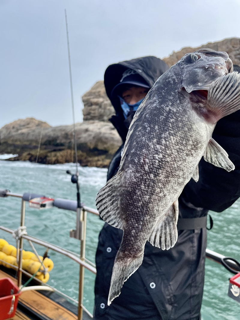 26년 2월4일 대천항 하이피싱호 
