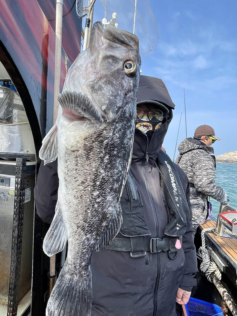 26년 2월4일 대천항 하이피싱호 