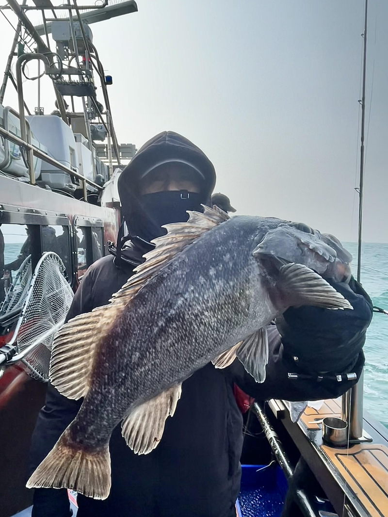 26년 2월13일 대천항 하이피싱호