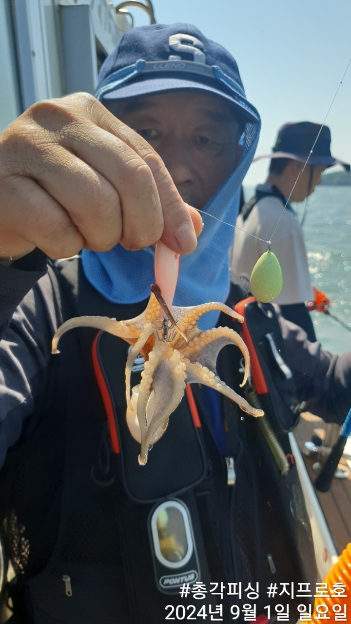 금어기 해제 쭈꾸미 조황~!!! 지프로호 망태기 조황!! 4일부터 자리 있습니다! 오후반도 운영중!!