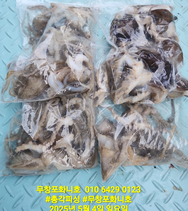 봄쭈꾸미 실력의 격차'!!!  이제 곧 마감하니 어서 놀러오세요!!