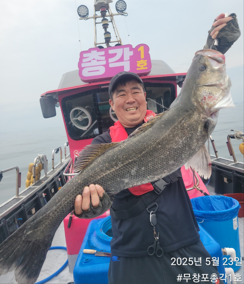 << 총각1호 />>  농어 외수질 3인 조황 입니다!! 오늘도 싸이즈 마릿수 좋습니다!
