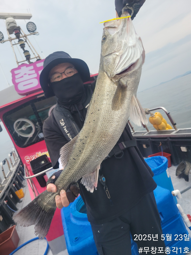 << 총각1호 />>  농어 외수질 3인 조황 입니다!! 오늘도 싸이즈 마릿수 좋습니다!