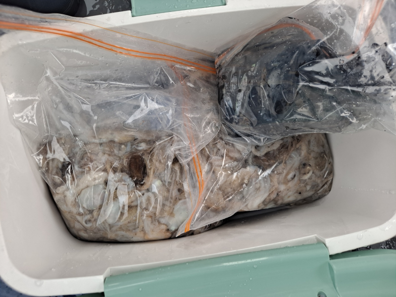 9월1일 느나느나!!! 날씨가 안좋은데도 느면 나와~!!! 세자리수 못하면 바보!! 다음주 자리 여유!!