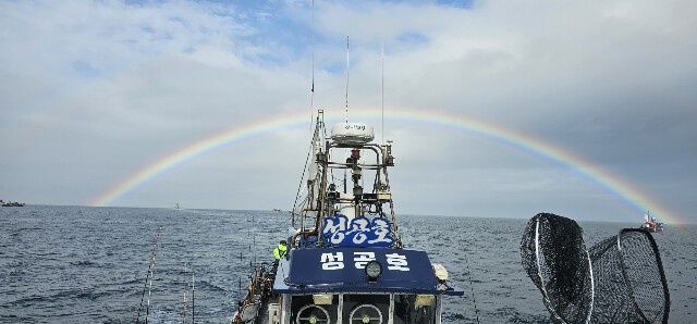 6월14일 타이라바참돔 10분 130개 마릿수 대박 조황