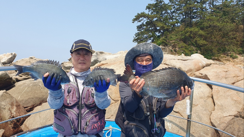 6/18 갯바위 6자 감성돔  조황