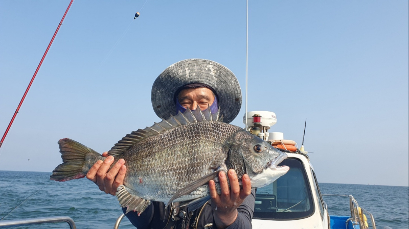 6/18 갯바위 6자 감성돔  조황