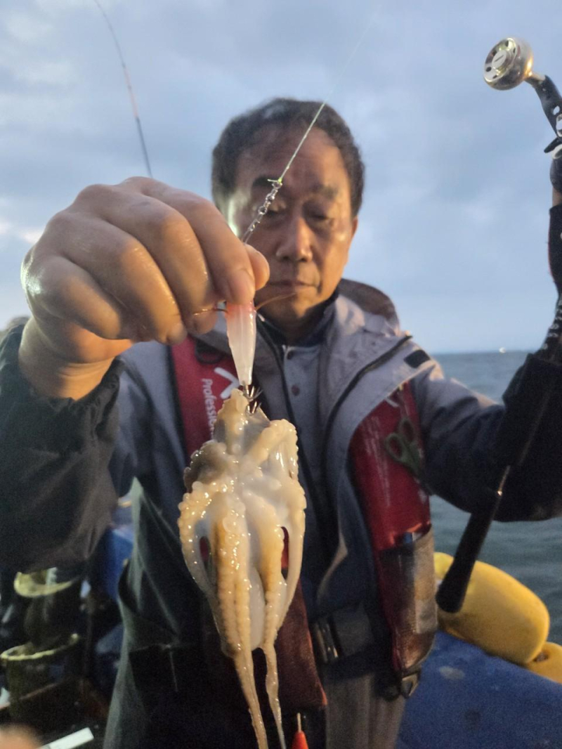 19일 군산쭈꾸미 기상이 좋지 않아도 망태기조과로~! -군산새만금낚시 레전드호-