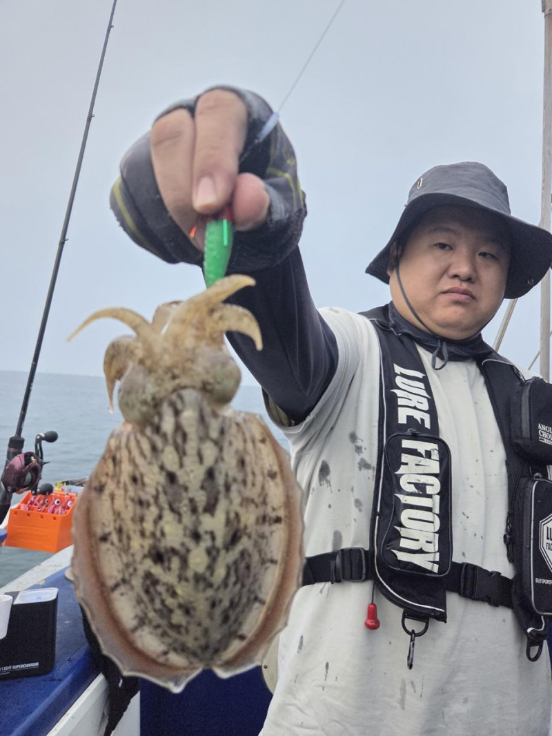 -실시간조황- 사이즈 좋은 갑오징어로 손맛보는중~! -군산새만금낚시 레전드호-