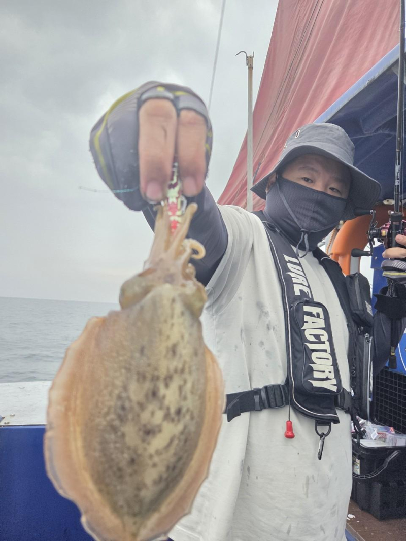 -실시간조황- 사이즈 좋은 갑오징어로 손맛보는중~! -군산새만금낚시 레전드호-
