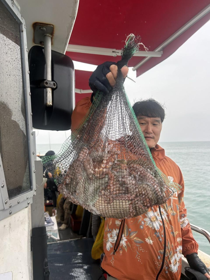 10.14 넘버원2호(NO.2) 문어 마릿수 대박 조황 입니다. (500수 이상/ 사이즈 굿 4kg 까지~)