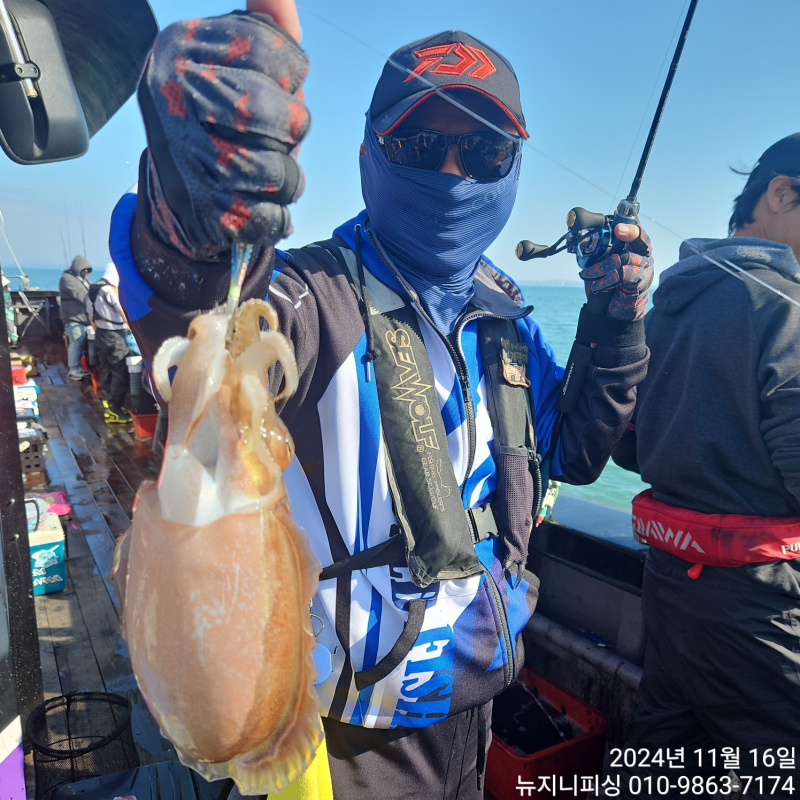 11/16 홍원항 뉴 지니피싱호 문/갑 병행 조황