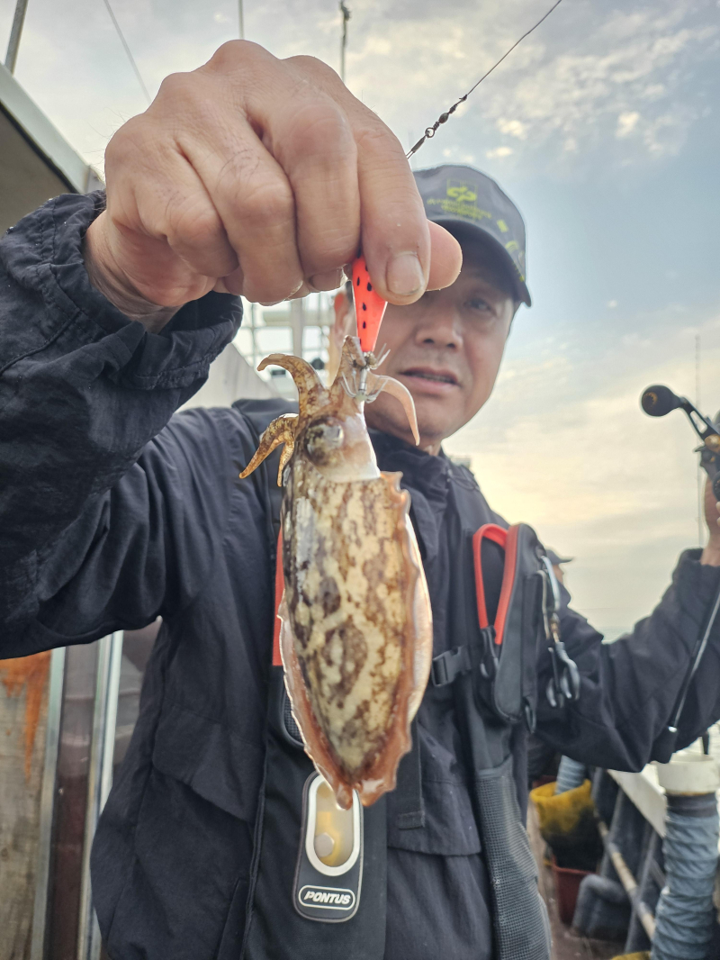 9월30일 황제호 쭈꾸미 갑오징어 망태기 대박조황 입니다.