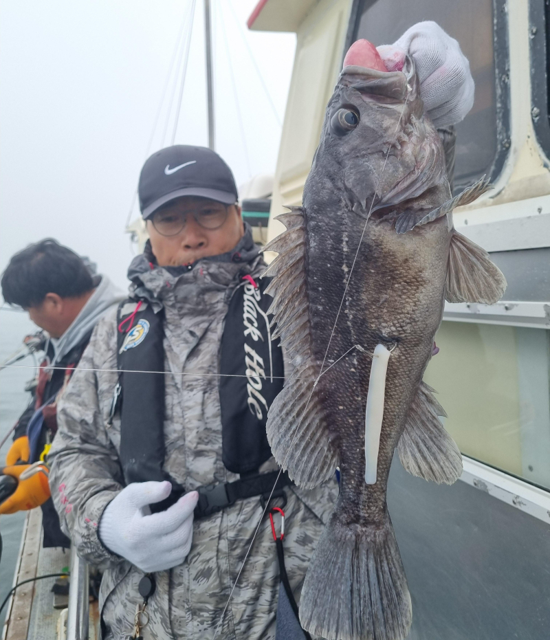 5월22일 5짜4짜우럭 조황입니다!!