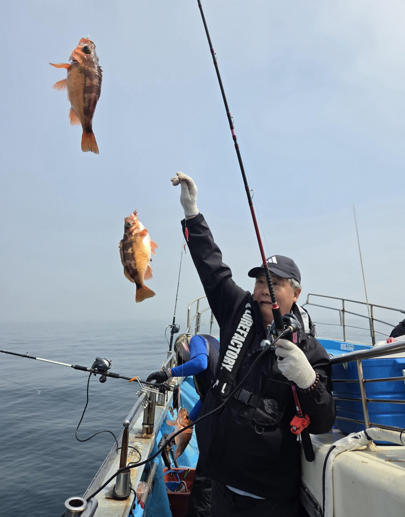6월23일 5짜4짜우럭과 열기 조황입니다!!