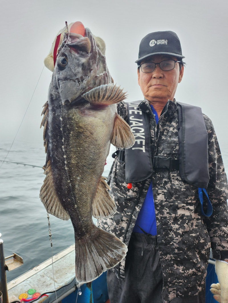 6월28일 5짜4짜쓰리걸이쌍걸이 우럭 조황입니다!!