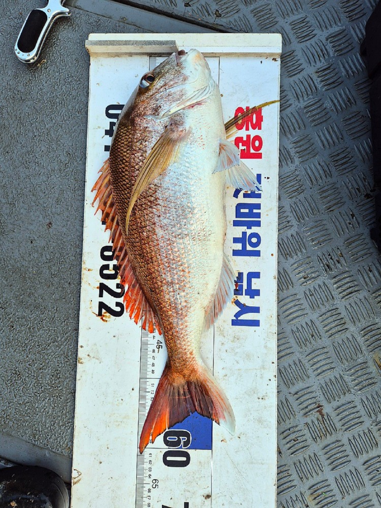 KakaoTalk_20250601_104042739_04.jpg