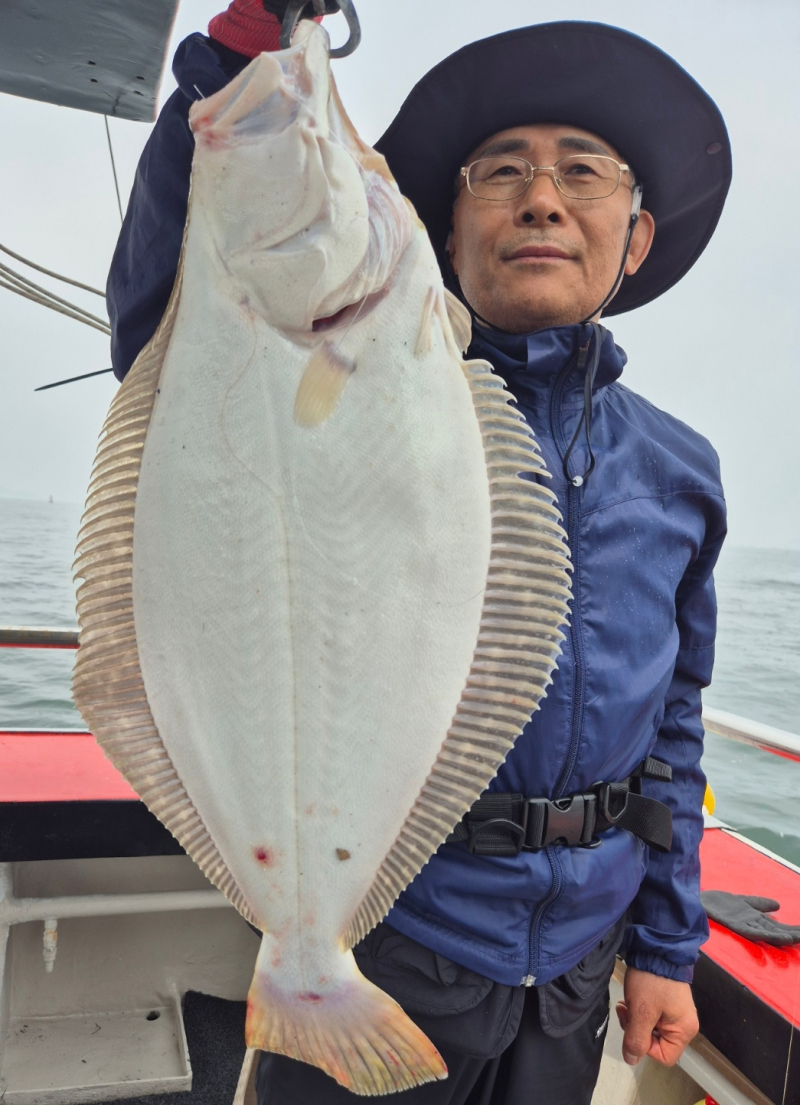 인천 팀에프호 5월 31일 대광어 조황!!