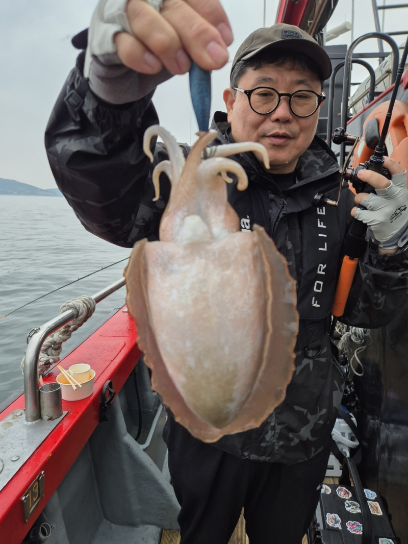 인천 팀에프호 6월 02일 대광어 & 갑오징어 조황!!