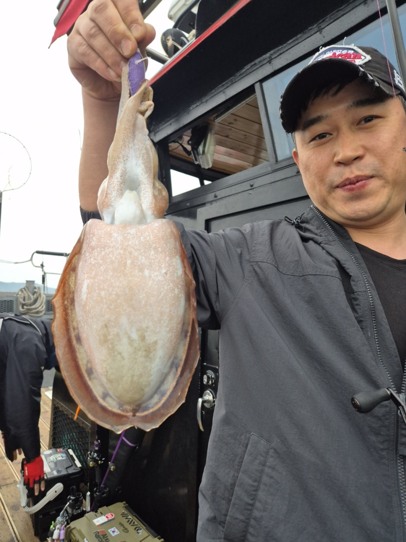 인천 팀에프호 6월 02일 대광어 & 갑오징어 조황!!